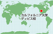カルフォルニア大学デイビス校